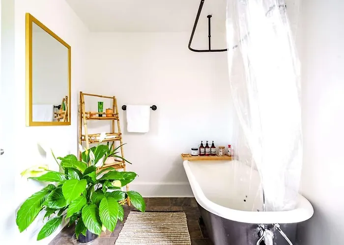 Jungle Fever By Jungle House Walk To High Street Near Convention Center Osu & Nationwide Arena Downtown & Short North 5 800 Reviews Private Parking * Columbus