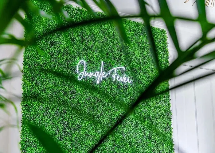 Сasa de vacaciones Jungle Fever By Jungle House Walk To High Street Near Convention Center Osu & Nationwide Arena Downtown & Short North 5 800 Reviews Private Parking *