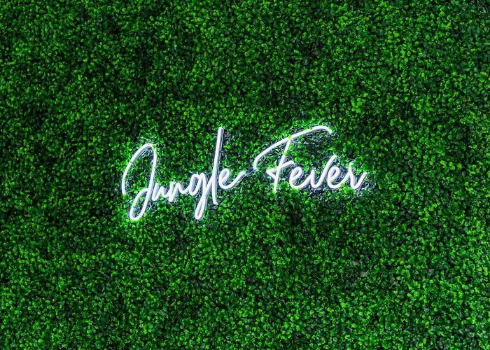 Jungle Fever By Jungle House Walk To High Street Near Convention Center Osu & Nationwide Arena Downtown & Short North 5 800 Reviews Private Parking Сasa de vacaciones
